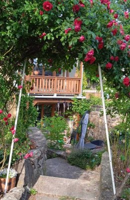 Schöne 3 Zimmer Wohnung in Radebeul, Terrasse, Garten