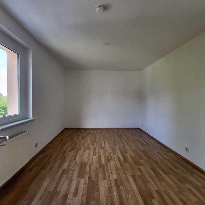 Helle 2-Raumwohnung - Balkon - Tageslichtbad mit Wanne - ideal für Singles oder Pärchen