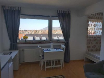 Möblierte und stilvoll eingerichtete 1,5-Zimmer-Whg. in Bergheim/Heidelberg mit schöner Aussicht