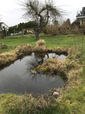 Attraktiv Wohnen im Grünen in Bosau mit großer Terrasse und EBK