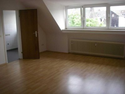 Schöne geräumige Ein-Zimmer-Wohnung