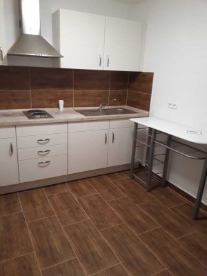 Ab März / Möblierte, neu renovierte 1 Zimmer-Wohnung zu vermieten