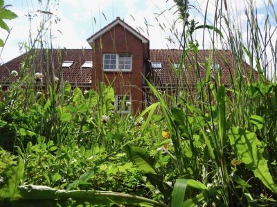 Geschmackvolle, gepflegte 3-Zimmer-Wohnung mit Balkon und Einbauküche in Kiel - Meimersdorf