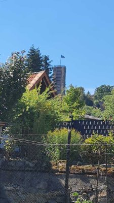 Großes Winzeranwesen mit geschlossener Innenhof, ausbaufähige Scheune, sowie mit schönem Garten !