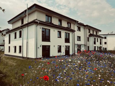 Neues Penthouse in Bornheim Roisdorf