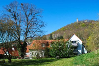 Traumhaft geschnittene Wohnung mit Blick zur Plesse