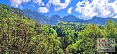 Ruhige und toll aufgeteilte DG-Wohnung inkl. zwei Parkplätze und Bergblick! HAUSTIERE WILLKOMMEN!