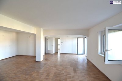 Extravagante, coole moderne und vor allem leistbare 4 Zimmer Wohnung in der Weststeiermark mitten in den Weinbergen - 8113 St. Bartholomä