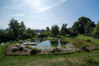 Familientraum mit Badeteich - geförderte 4 Zimmer Mietwohnung in Nöchling (Bezirk Melk)