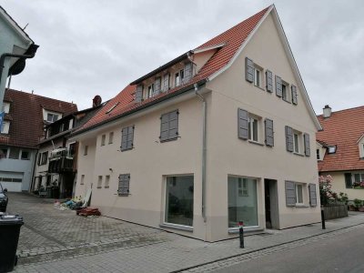 Hochwertige 2 Zimmer Wohnung Bissingen Zentral