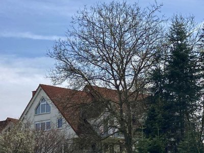 Ruhige Maisonette-Wohnung mit Schlossblick direkt am Tiergarten