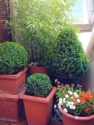 Gemütliche, 3 Zi-DG-Wohnung mit Gartennutzung in Niedernhausen!