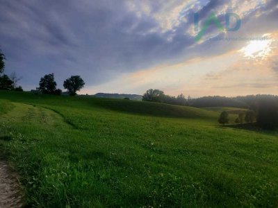 Zweifamilienhaus in ruhiger Lage mit großem Grundstück