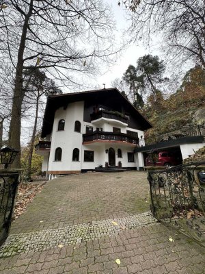 Schöne 3-Zimmer-Erdgeschosswohnung mit luxuriöser Innenausstattung in Wachenheim an der Weinstraße