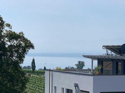 Exklusive 2-Zimmer-Wohnung mit Blick auf den Bodensee und das Alpenpanorama