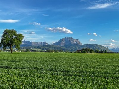 Land &amp; Gut: Genehmigter Wohn- &amp; Lebenstraum in Alleinlage.