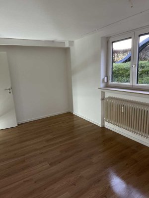 Erstbezug nach Sanierung: ansprechende 2-Zimmer-Wohnung mit EBK in Kemnat