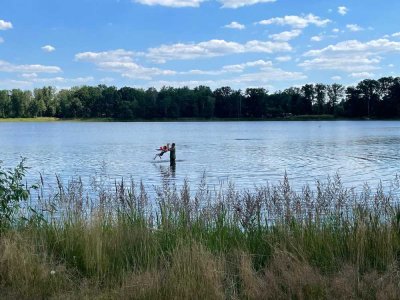 Sommerhaus am See - 60 Minuten von Berlin