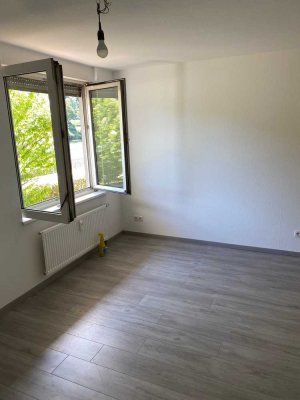 Helles 1 Zimmer Apartment in Heidelberg Ziegelhausen mit EBK u Bad