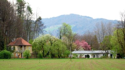 Salzburg- Süd: Historische Villa mit Nebengebäude in prominenter Lage!