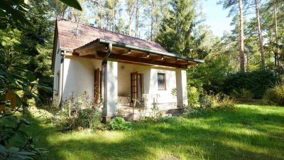 Wald, Erholung und Potential - Ihr Häuschen in Wensickendorf