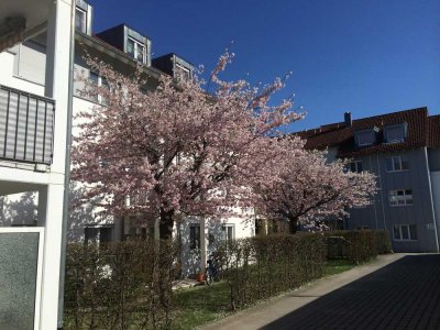 Größzügige Wohnung in Steinheim