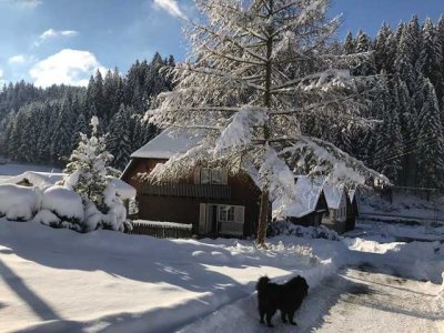 Juwel in Reinerzau, dem Tor zum Schwarzwald