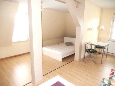 1 R.-Appartement mit Laminat, möbliert, Waschmaschine, Dusche,  Neue Gaspreise sind kalkuliert !!!