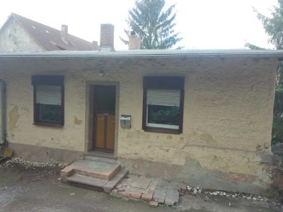 kleines Einfamilienhaus mit 1501 m² Grundstück