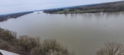 Erstbezug nach Sanierung mit Rheinblick, Schwimmbad, Sauna & Tiefgarage