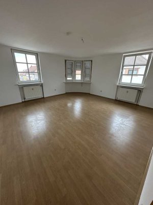 Helle 2-Zimmer-Wohnung in Top-Lage Wiesental - sofort Verfügbar