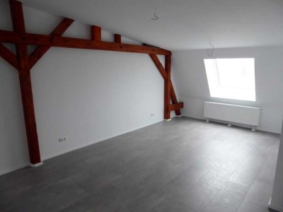 Komplett neu auf Passivhaus-Niveau renovierte 2-Zimmer-Wohnung inmitten der Ulmer City