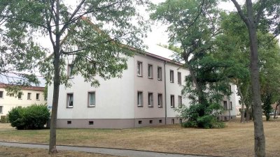 Neu renovierte 3 Raum-Wohnung am Südpark