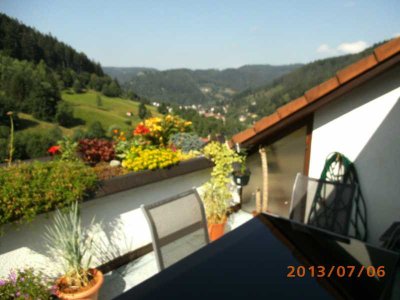 Top 3 Z. Wohng, Top-Lage und Ausstattung: neue EBK /Therme/Bad,  Terrasse , Galerie ,Carport