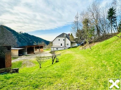 Absolute Ruhelage! Atemberaubende Landwirtschaft im Süden Kärntens