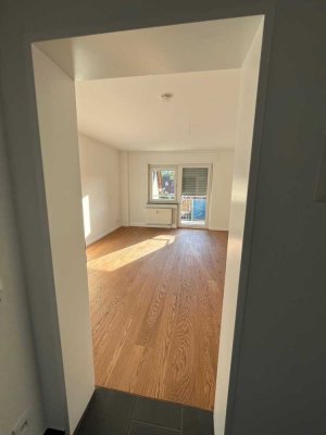 Große 1-Zimmer Wohnung mit Balkon und Singleküche,  Wiesbaden- Naurod