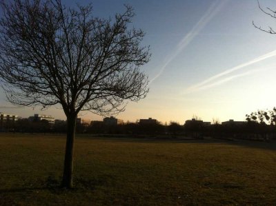 Familientraum mit Blick in den Wiesen-Park -  4,5 -Zimmer-Wohnung mit großem Balkon