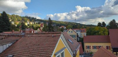 Wunderschöne große Wohnung in Dresden-Loschwitz