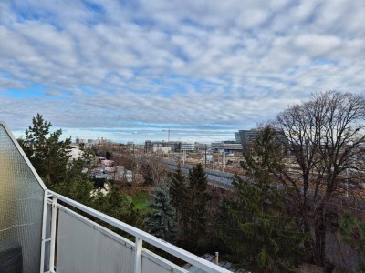 SCHÖNSTE TERRASSE IN DER RUTHNERGASSE/SANIERUNGSBEDÜRFTIGE DG-WOHNUNG NÄHE SIEMENSTRASSE