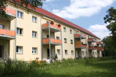 Für Senioren: 2-Raum-Wohnung im Erdgeschoss mit kl. Garten