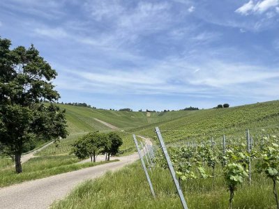 "Ruhig wohnen mit Blick auf die Weinberge!" Attraktive DHH in Weinstadt