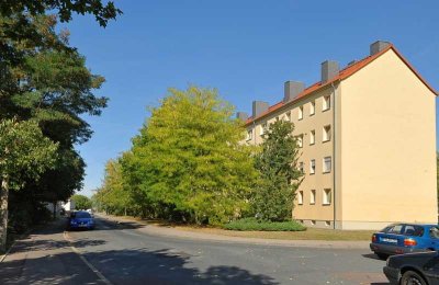 Wohnen am Pestalozzipark, im Süden von Halle!