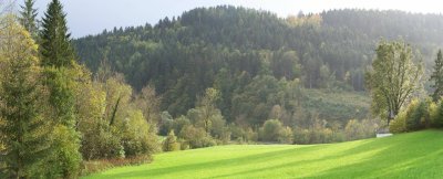 Natur Pur 20km/20min nach Graz und Flughafen