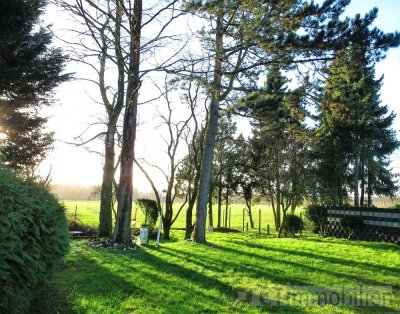 Wohnen am Feld im Bungalow