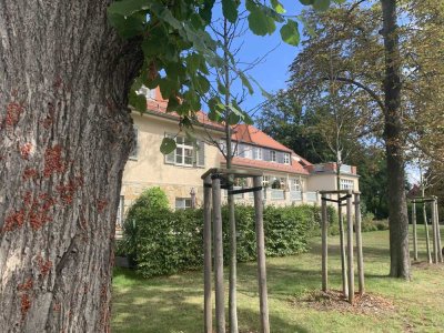 Elegante, großzügige 2-Raum-Wohnung mit Balkon und feiner Ausstattung in guter Wohnlage in Hellerau!