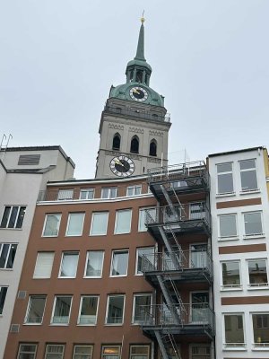 Erstbezug Neubau im Altbau! vollständig neu aufgebaute, modernisierte 2,5-Zi.-Wohnung, Dachterrasse