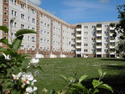 Geräumige 2-Raumwohnung in zentraler Lage in Knieper West!