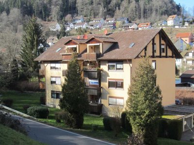 Sofort bezugsfrei: schöne 3-Zimmer-Wohnung mit großem Sonnenbalkon