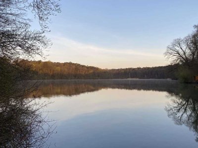 Lichtdurchflutete Traumwohnung direkt am Schlachtensee in Berlin-Zehlendorf