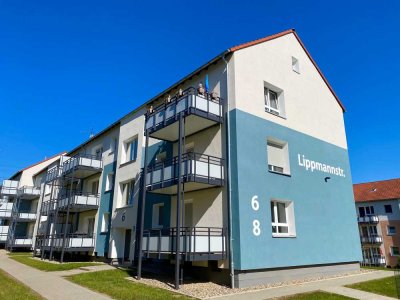 *NEU* Frisch renovierte Wohnung in modernisiertem Wohnviertel